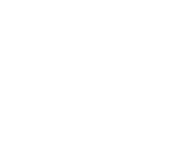 Bull Dog Electric logo